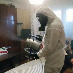 Дезинфекция от клопов в Перхушково