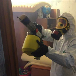 Уничтожение клопов в квартире. Перхушково